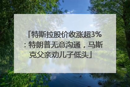 特斯拉股价收涨超3%：特朗普无意沟通，马斯克父亲劝儿子低头