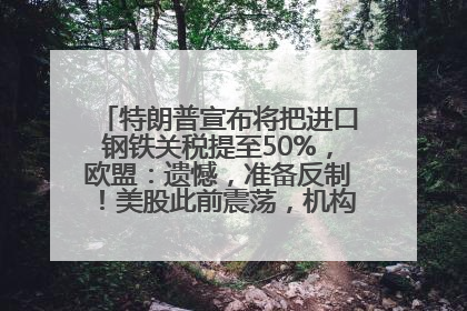 特朗普宣布将把进口钢铁关税提至50%，欧盟：遗憾，准备反制！美股此前震荡，机构：美元正进入熊市