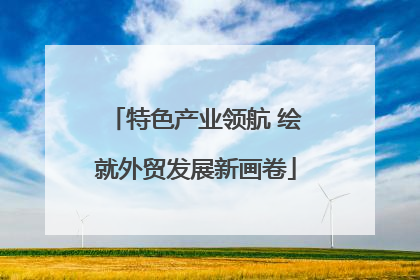 特色产业领航 绘就外贸发展新画卷