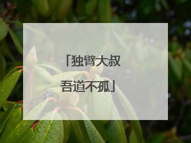 独臂大叔 吾道不孤