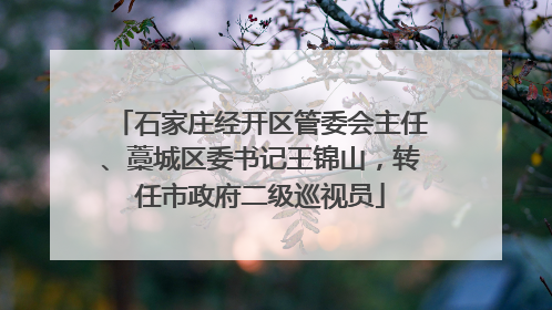 石家庄经开区管委会主任、藁城区委书记王锦山，转任市政府二级巡视员