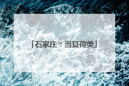石家庄：当夏荷美
