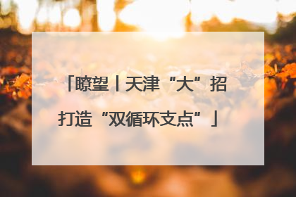 瞭望丨天津“大”招打造“双循环支点”
