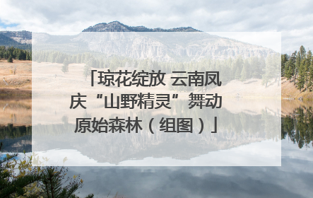 琼花绽放 云南凤庆“山野精灵”舞动原始森林（组图）