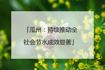 瓜州：持续推动全社会节水成效显著