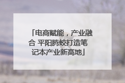 电商赋能，产业融合 平阳腾蛟打造笔记本产业新高地
