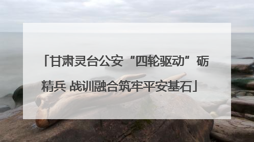 甘肃灵台公安“四轮驱动”砺精兵 战训融合筑牢平安基石