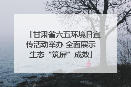 甘肃省六五环境日宣传活动举办 全面展示生态“筑屏”成效