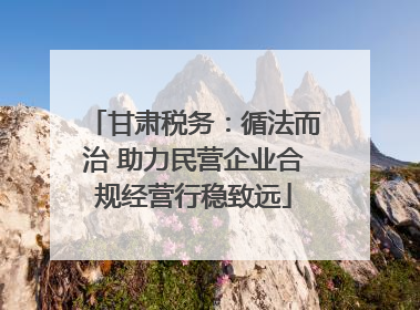 甘肃税务：循法而治 助力民营企业合规经营行稳致远