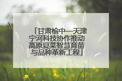 甘肃榆中—天津宁河科技协作推动高原夏菜智慧育苗与品种革新工程