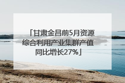甘肃金昌前5月资源综合利用产业集群产值同比增长27%