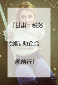 甘肃：税务领航 助企合规前行