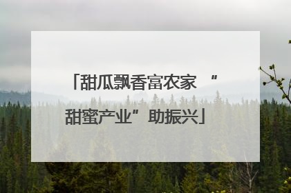 甜瓜飘香富农家 “甜蜜产业”助振兴