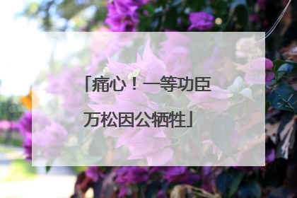 痛心！一等功臣万松因公牺牲