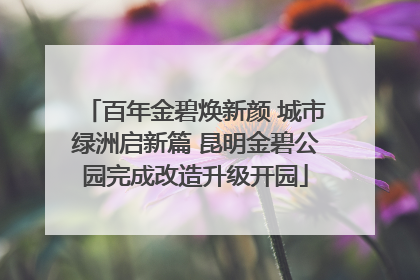百年金碧焕新颜 城市绿洲启新篇 昆明金碧公园完成改造升级开园