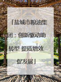 盐城市粮油集团：创新驱动助转型 提质增效促发展