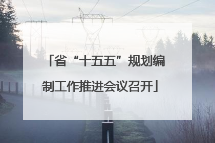 省“十五五”规划编制工作推进会议召开