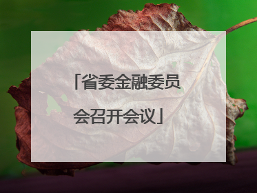 省委金融委员会召开会议