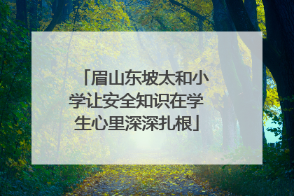 眉山东坡太和小学让安全知识在学生心里深深扎根