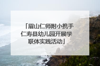 眉山仁师附小携手仁寿县幼儿园开展学联体实践活动