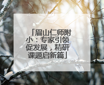 眉山仁师附小：专家引领促发展，精研课题启新篇