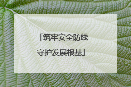 筑牢安全防线 守护发展根基