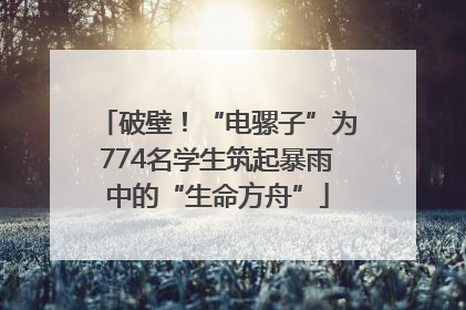 破壁！“电骡子”为774名学生筑起暴雨中的“生命方舟”