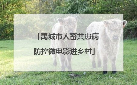禹城市人畜共患病防控微电影进乡村