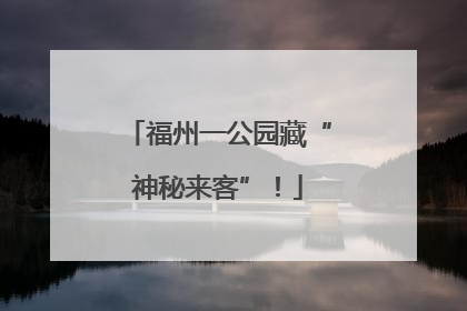 福州一公园藏“神秘来客”！