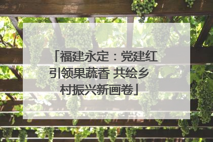 福建永定：党建红引领果蔬香 共绘乡村振兴新画卷