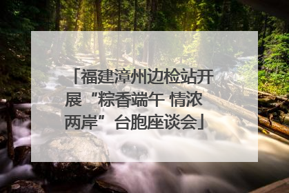 福建漳州边检站开展“粽香端午 情浓两岸”台胞座谈会