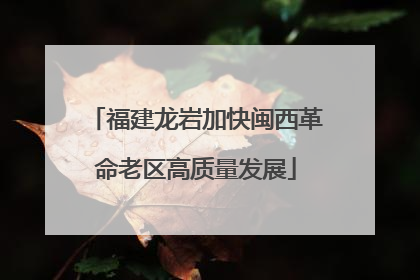 福建龙岩加快闽西革命老区高质量发展
