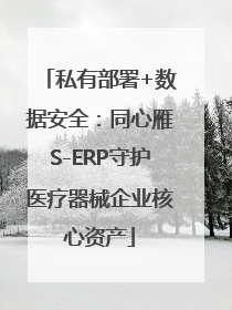 私有部署+数据安全：同心雁S-ERP守护医疗器械企业核心资产