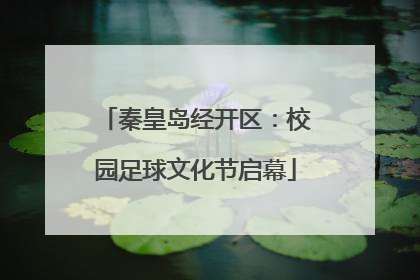 秦皇岛经开区：校园足球文化节启幕
