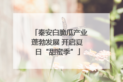 秦安白脆瓜产业蓬勃发展 开启夏日“甜蜜季”