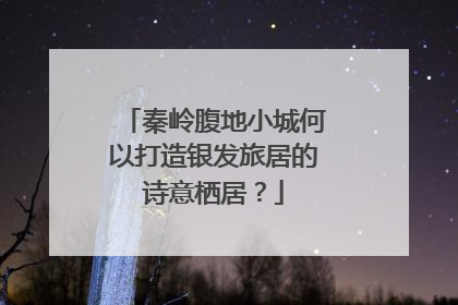 秦岭腹地小城何以打造银发旅居的诗意栖居？