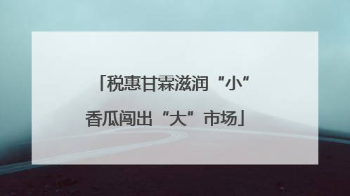 税惠甘霖滋润“小”香瓜闯出“大”市场