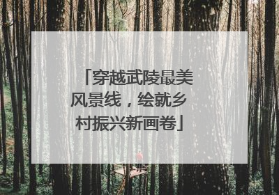 穿越武陵最美风景线，绘就乡村振兴新画卷