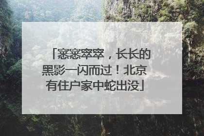 窸窸窣窣，长长的黑影一闪而过！北京有住户家中蛇出没