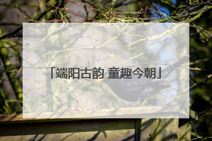 端阳古韵 童趣今朝