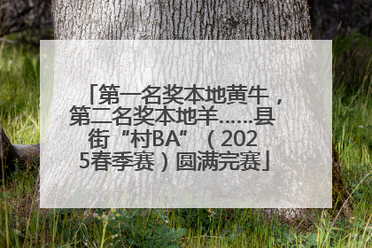 第一名奖本地黄牛，第二名奖本地羊……县街“村BA”（2025春季赛）圆满完赛