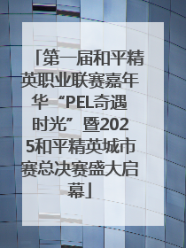 第一届和平精英职业联赛嘉年华“PEL奇遇时光”暨2025和平精英城市赛总决赛盛大启幕