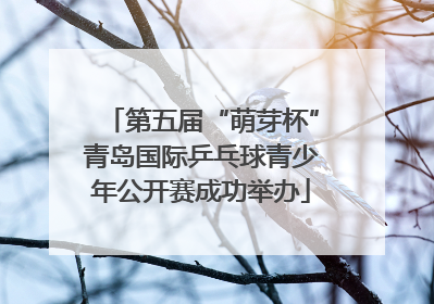 第五届“萌芽杯”青岛国际乒乓球青少年公开赛成功举办