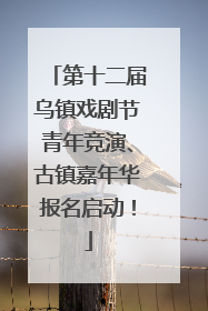 第十二届乌镇戏剧节青年竞演、古镇嘉年华报名启动！