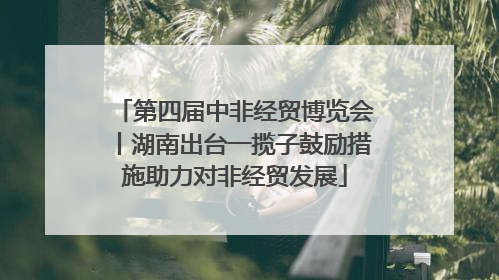 第四届中非经贸博览会丨湖南出台一揽子鼓励措施助力对非经贸发展