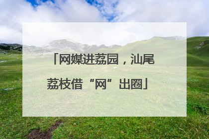 网媒进荔园，汕尾荔枝借“网”出圈