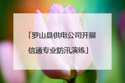 罗山县供电公司开展信通专业防汛演练