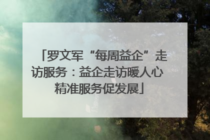 罗文军“每周益企”走访服务：益企走访暖人心 精准服务促发展