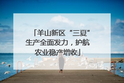 羊山新区“三夏”生产全面发力，护航农业稳产增收