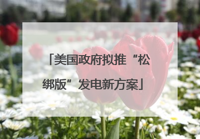 美国政府拟推“松绑版”发电新方案